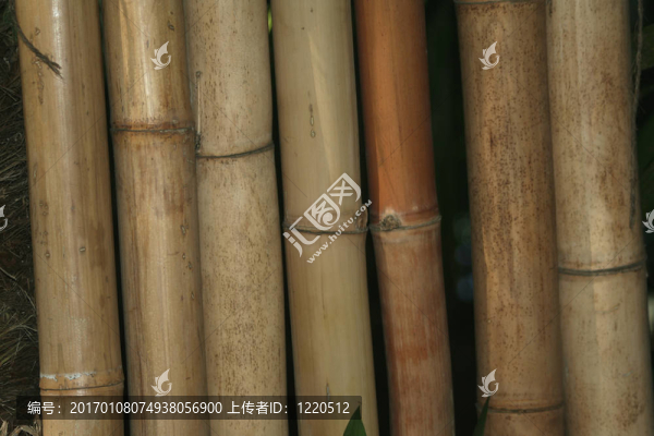 竹稈