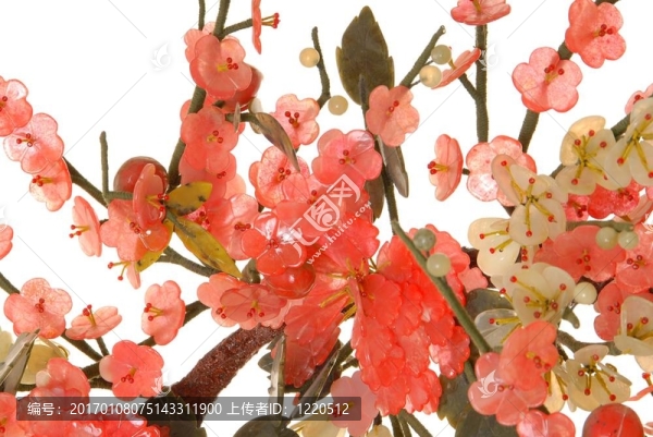 玉櫻4