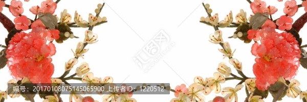 玉櫻8