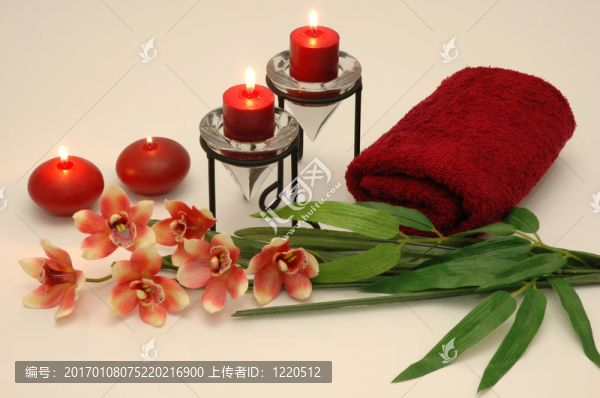蘭花3