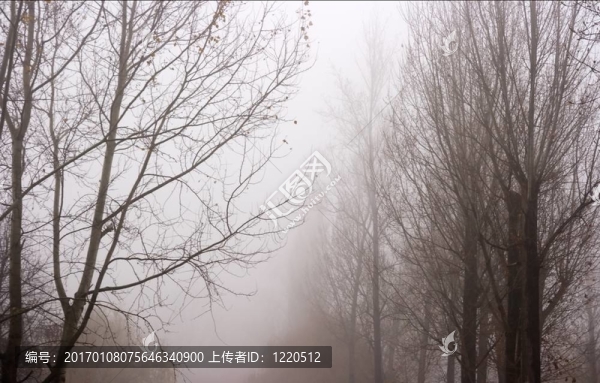 霧