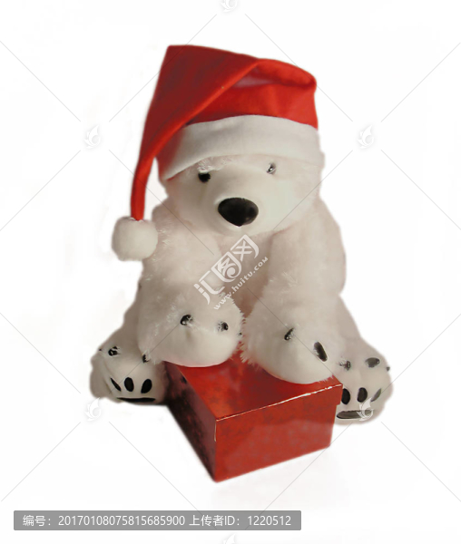 polarbear4