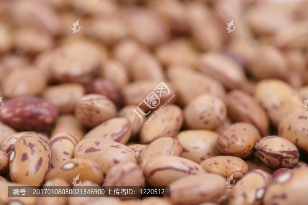 豆II