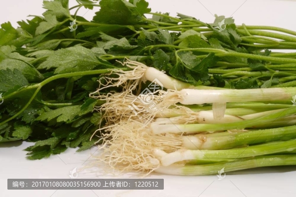 蔥和PASLEY-匯圖網(wǎng) www.fosd68.com 蔥和PASLEY