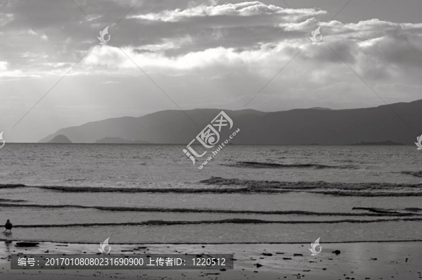 陽光海灘