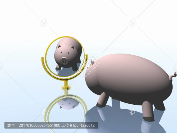 鏡子前的豬。二千零七