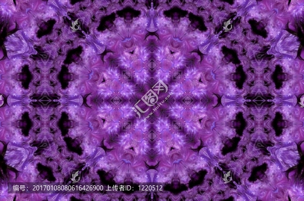 紫色花紋