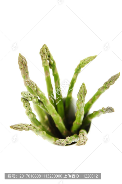 綠蘆筍