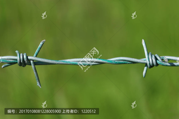 鐵絲網
