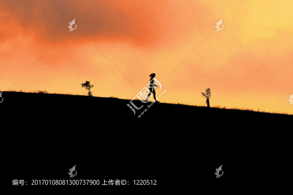 剪影