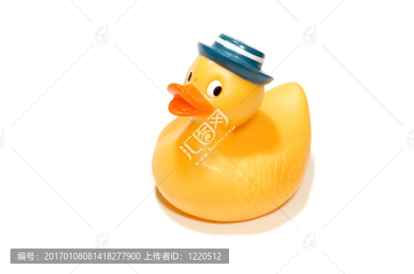 鴨子