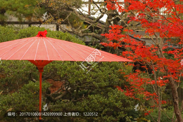 紅色的日本傘
