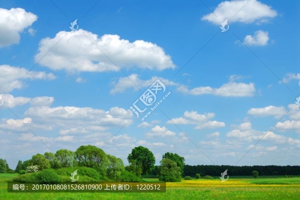 春天的風(fēng)景