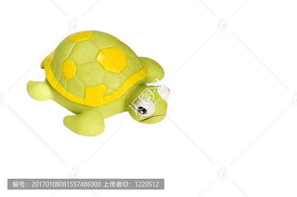 烏龜