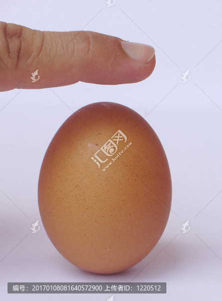 棕色的蛋-匯圖網(wǎng) www.fosd68.com 棕色的蛋
