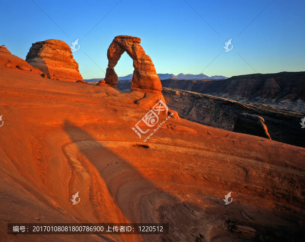 delicatearch（H）