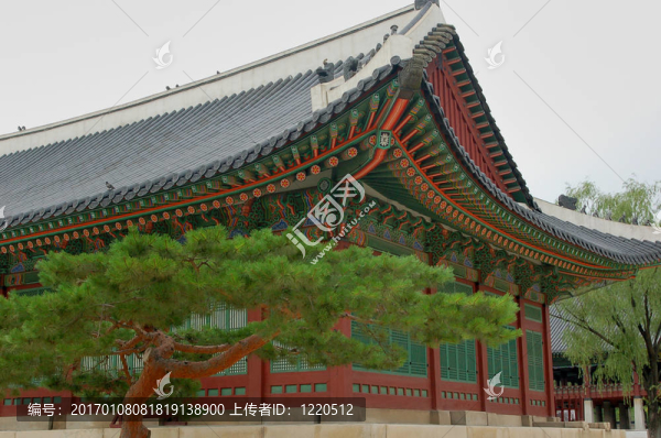 宮殿和松樹