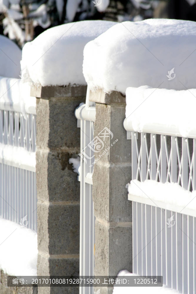 大雪