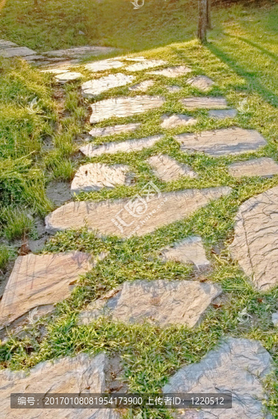陽(yáng)光的道路
