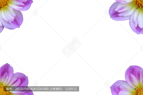 復(fù)活節(jié)帽花開放空間-孤立