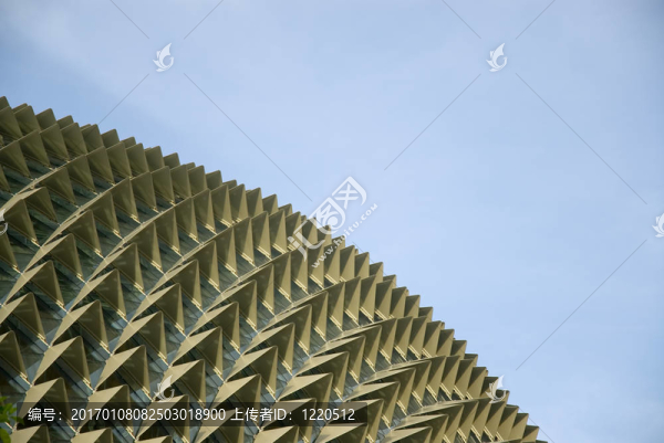 圓頂