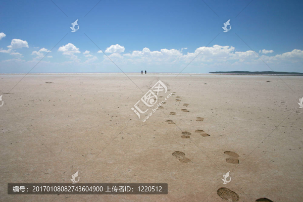 鹽湖迷航