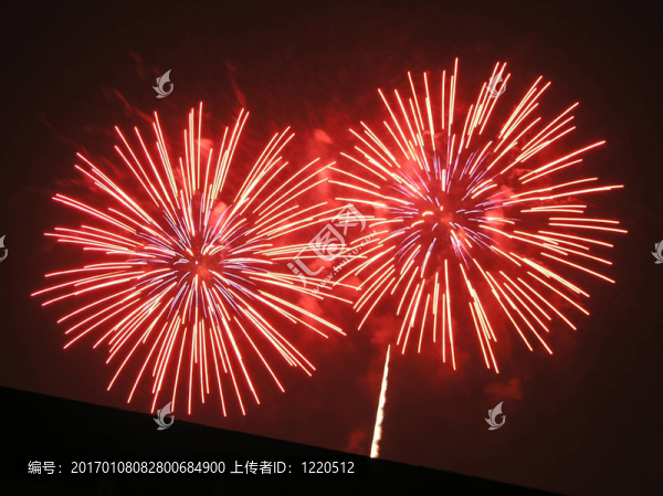 煙花24