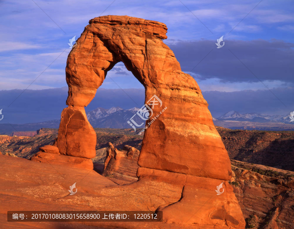 delicatearch5（H）（T）