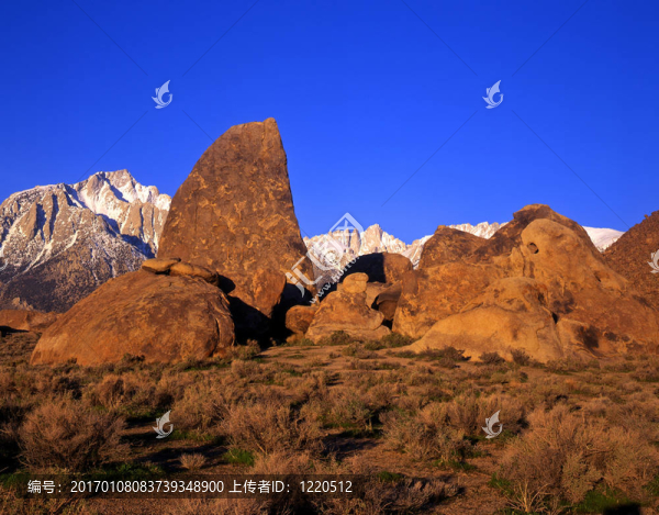 mtwhitney