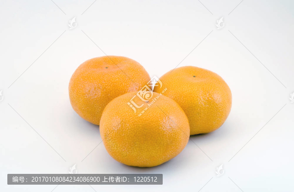 薩摩蜜橘