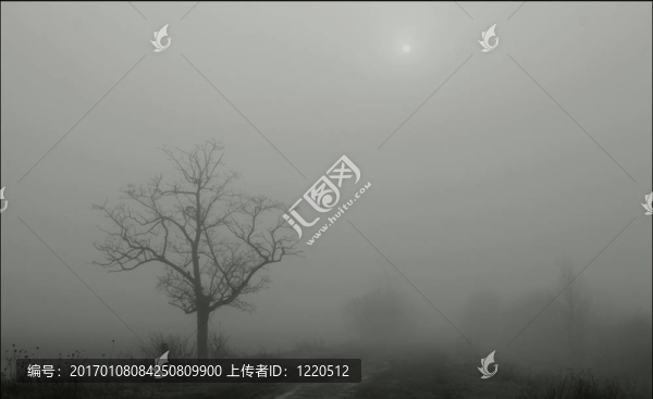 我的路
