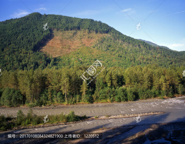 nooksackriverlogging