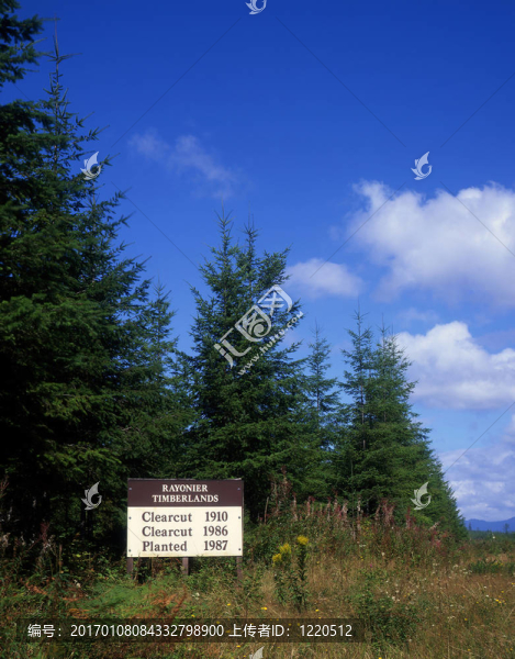 clearcutsign