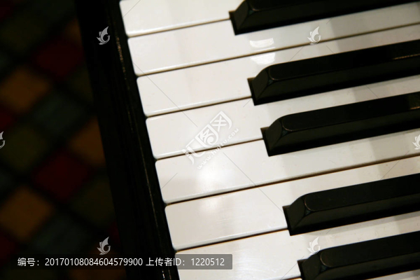 鋼琴鍵盤