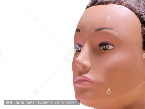 模特檔案