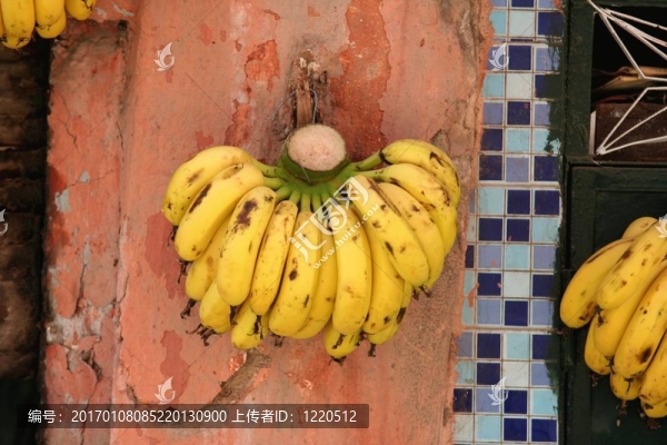 香蕉店