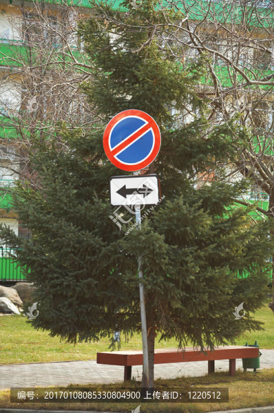 標(biāo)志和冷杉