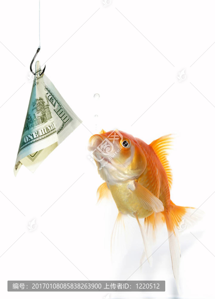 金魚和美元