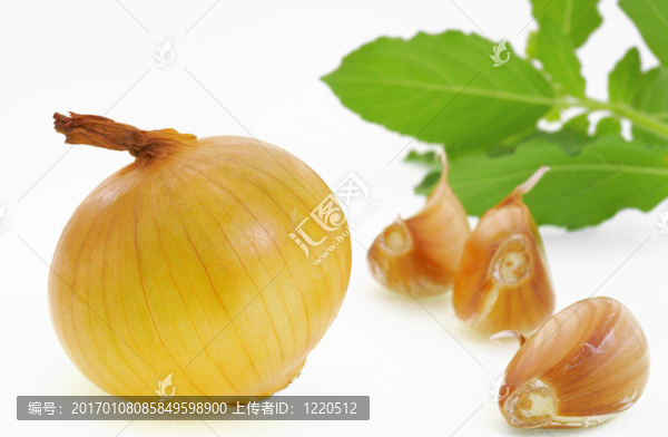 洋蔥和garlic-b