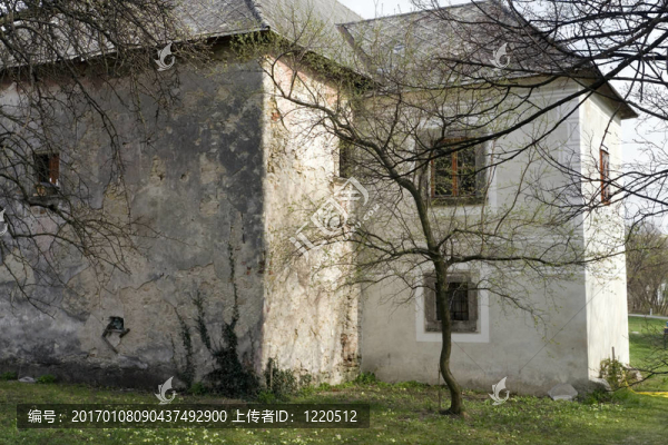 老房后