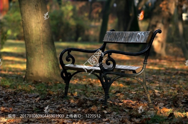 公園里的長凳