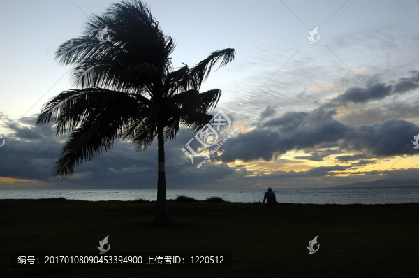 在Beach享受sunsert