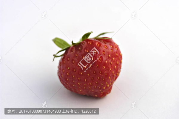 草莓
