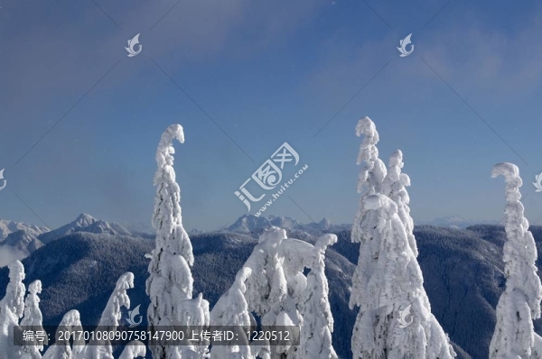 林海雪原