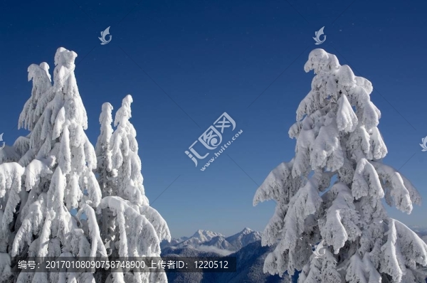 林海雪原