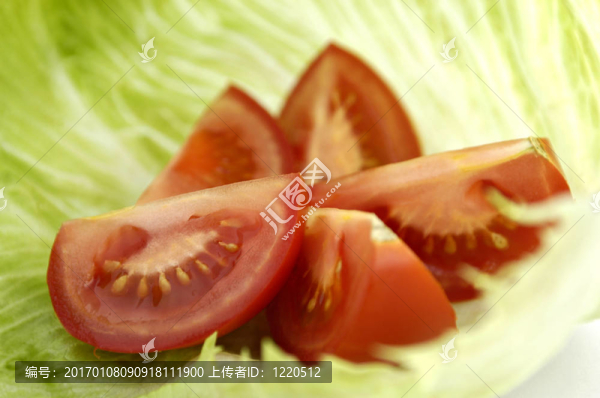 l番茄生菜