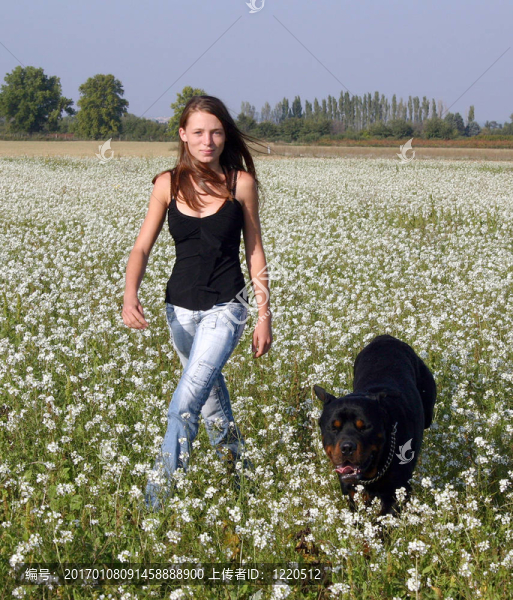 在田野里的性感女孩