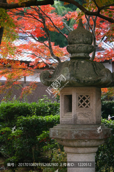 京都的秋天