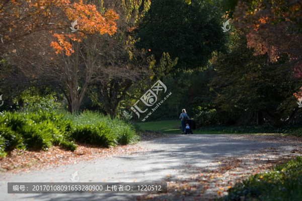 在公園里散步