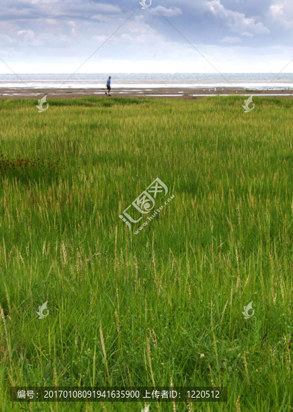 海灘漫步者